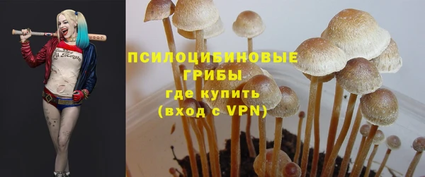 мдпв Покровск