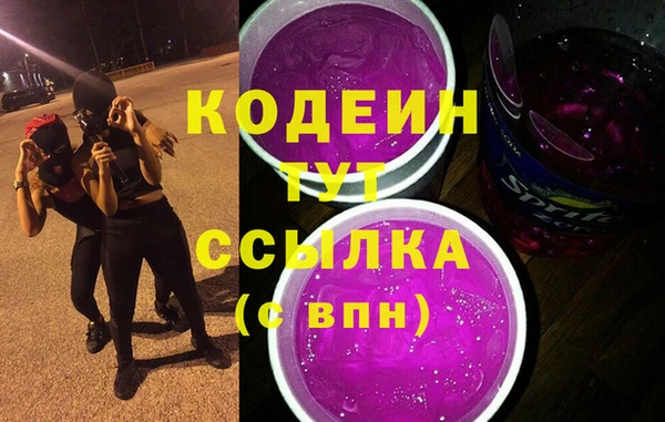 прущие грибы Весьегонск