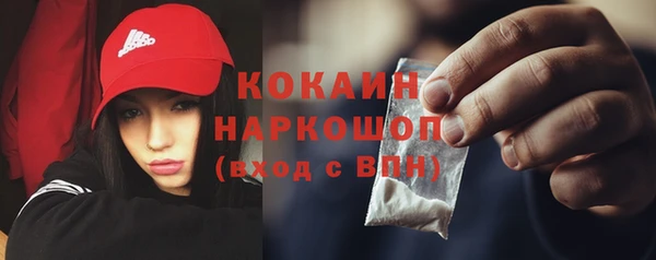 ALPHA PVP Покров