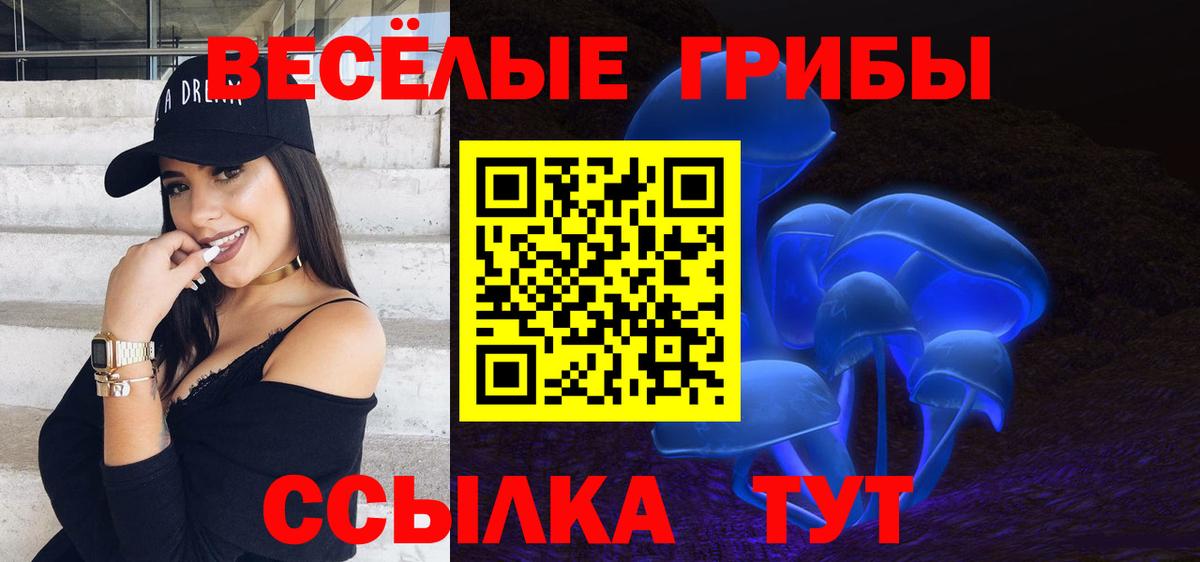 как найти   Боровичи  Галлюциногенные грибы мухоморы  Галлюциногенные грибы прущие грибы 